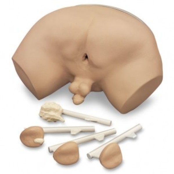 ESP Model Prostate Examination Simulator (ZLF-901-U)