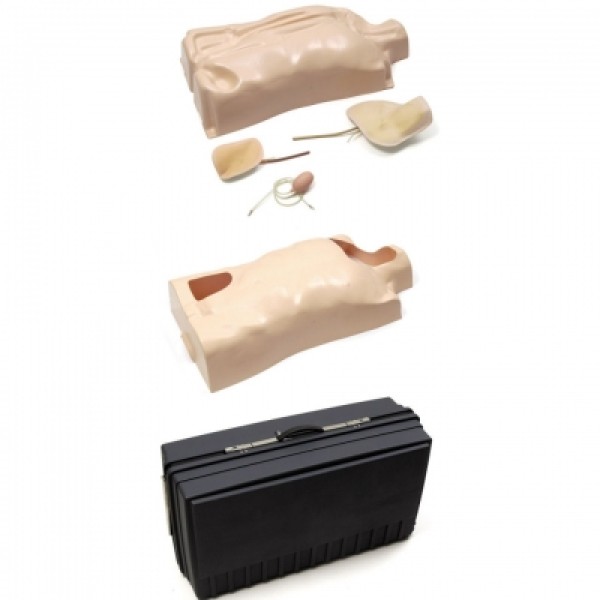 Laerdal IV Torso Basic With 1 Set of Pads (090019)