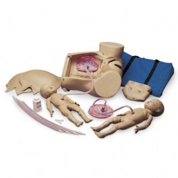 ESP Model Advanced Childbirth Simulator (ZSB-438-U)