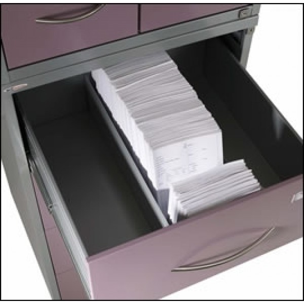 Amerson 2 Drawer Cabinet For FP25 Dental Records (3236H10W) 