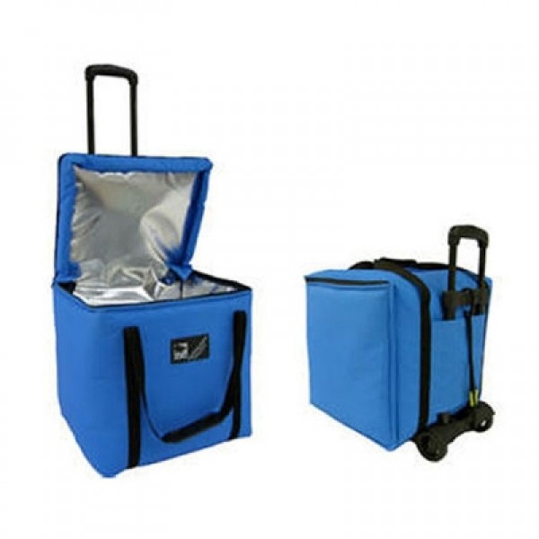 Polartherm Vaccine Thermal Carrying Bag 30 Litre (P30CB01)