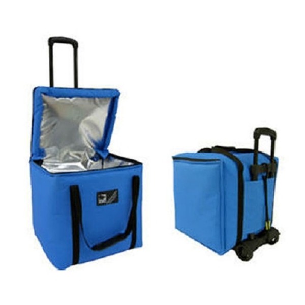 Polartherm Vaccine Thermal Carrying Bag 30 Litre (P30CB01)