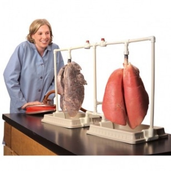 ESP Model BioQuest Dual Lungs Comparison Kit (ZKJ-395-C)