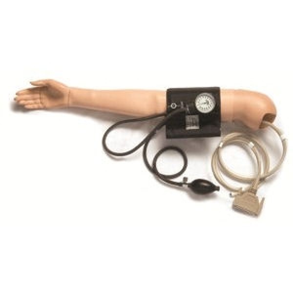 Laerdal Blood Pressure Arm Female (375-42050)