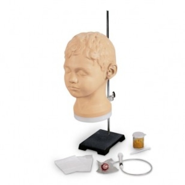 ESP Model Diagnostic Procedural Ear Trainer (ZKL-404-G)