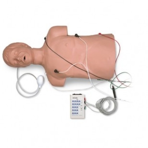 ESP Defibrillation CPR Training Manikin (ZKM-380-P)