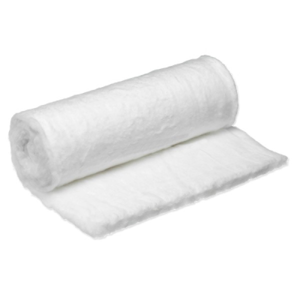 Robinson Cotton Wool Roll 500g (2009)