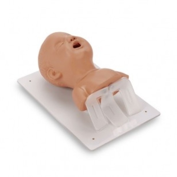 ESP Model Airway Management Trainer Infant Paediatric (ZKJ-319-B)