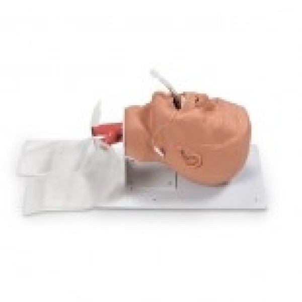 ESP Model Airway Management Trainer Adult Economy (ZKJ-326-T)