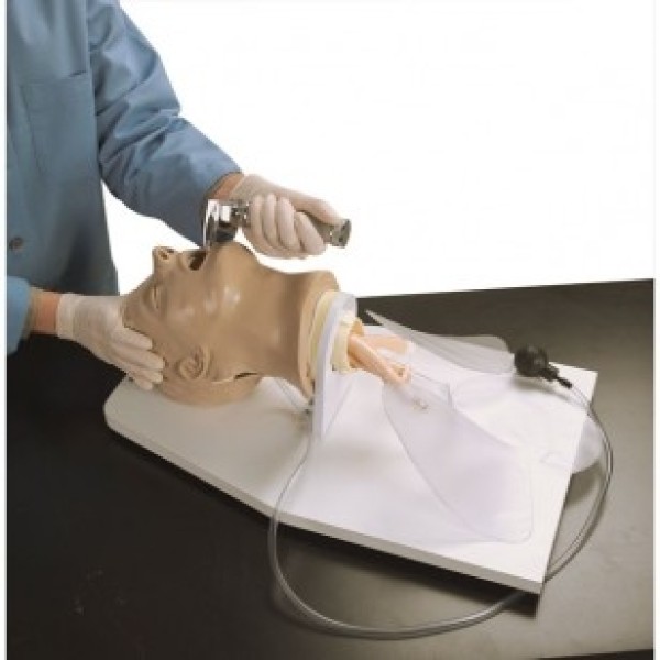 ESP Model Airway Trainer Adult (Airway Larry) (ZKJ-322-S)