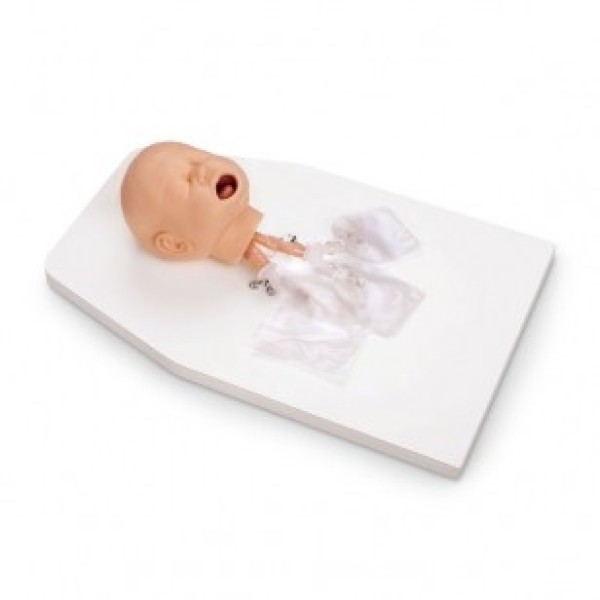 ESP Model Airway Management Trainer Infant (ZKM-470-S)