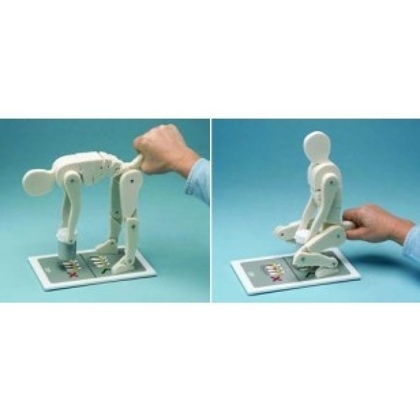 ESP Model Lifting Manikin (ZKJ-310-K)