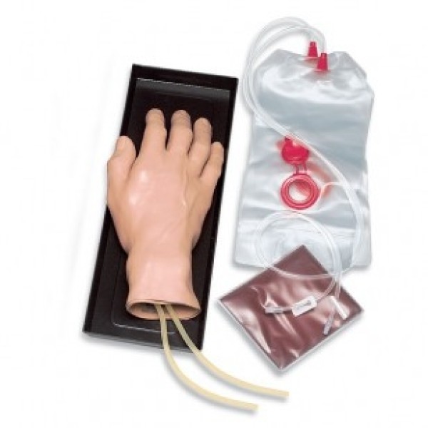 ESP Hand for IV Training (ZKJ-435-H)