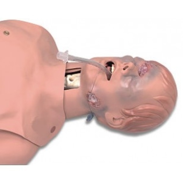 ESP Model Airway Management Trainer Critical Adult (ZKJ-204-R)