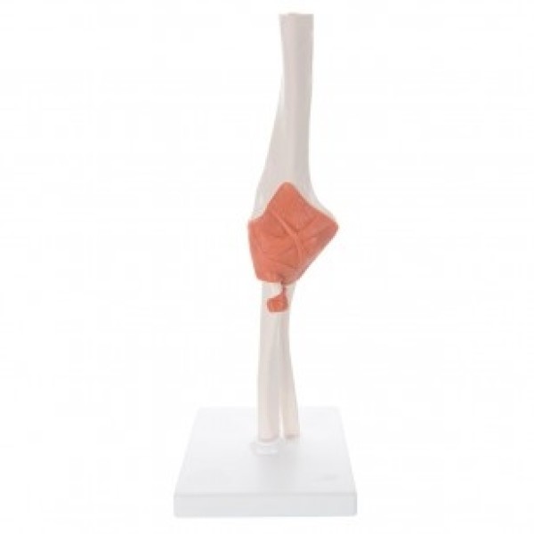 ESP Elbow Joint Flexible (ZJY-730-J)