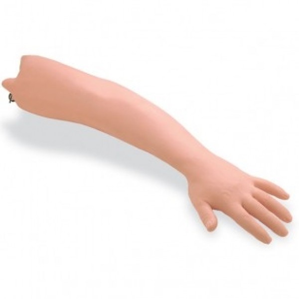 ESP Haemodialysis Practice Arm (ZKJ-427-H)