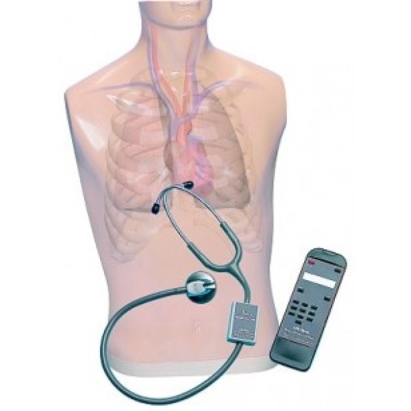 ESP Auscultation Trainer and SmartScope (ZKM-700-Z)