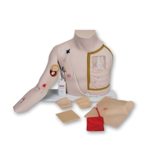 Laerdal Chester Chest Training Model (VT-2400)