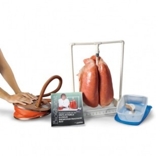 ESP Model Bioquest Inflatable Lung Kit (ZKJ-393-N)