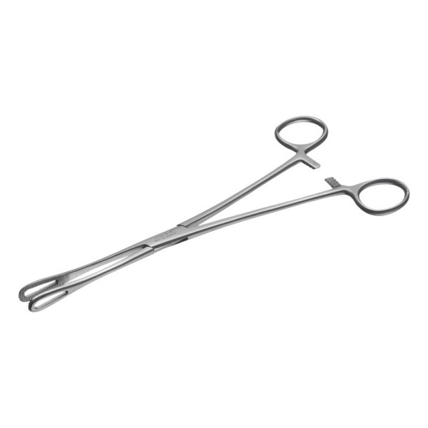 Instrapac Rampley Sponge Holding Forceps 25cm (Pack of 20) (7969)