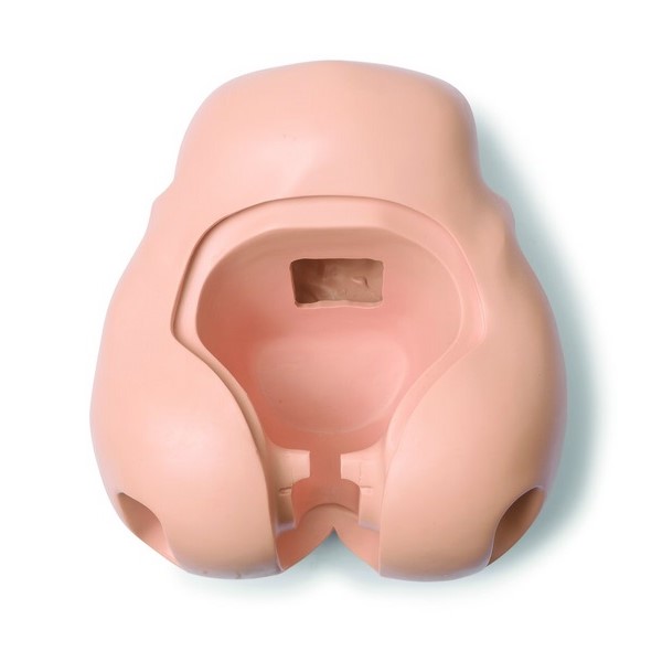 Laerdal Adult Female Pelvis no Bridge (325-02650)