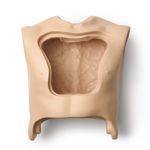 Laerdal Adult Male Torso (201-00250)