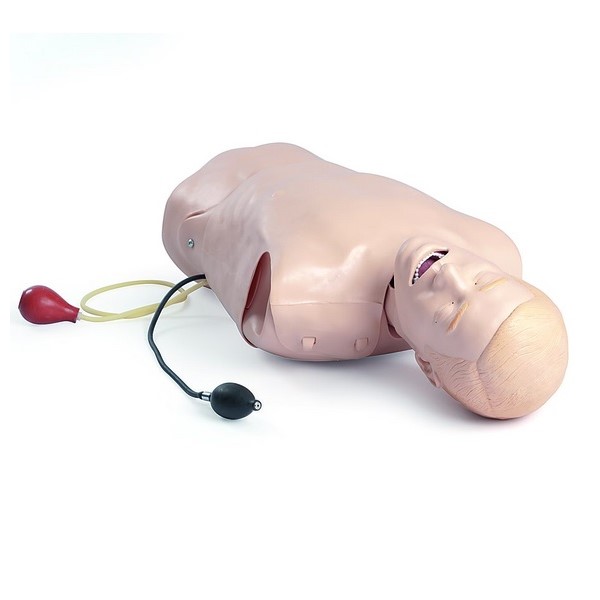 Laerdal Deluxe Difficult Airway Trainer Manikin (261-10001)