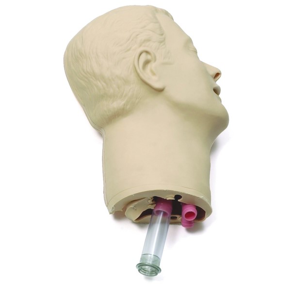 Laerdal Head Skin & Airways ALS / AMT (252000)