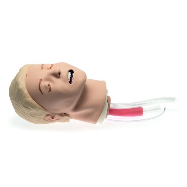 Laerdal Resusci Anne Airway Trainer Basic (316000)