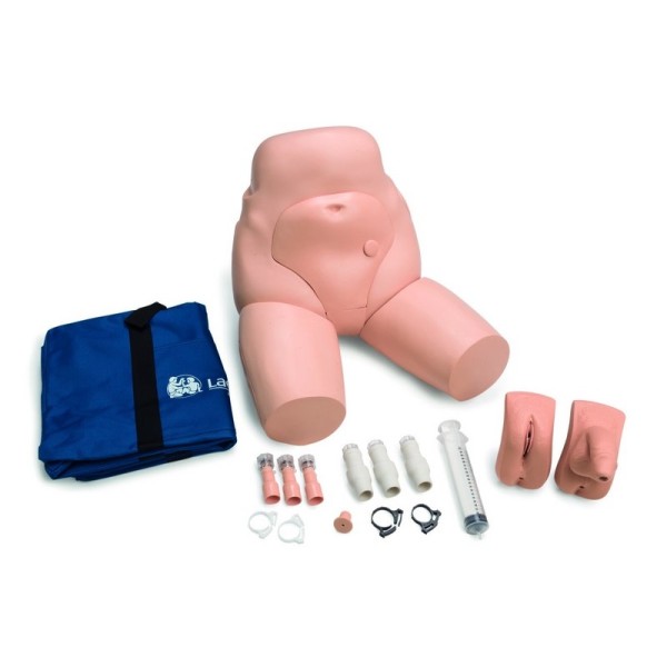 Laerdal Task Trainer - Enema / Catheterisation (375-21001)