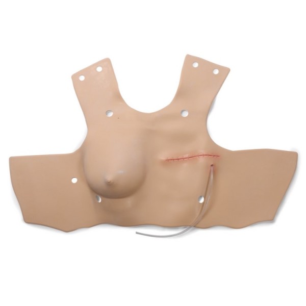 Laerdal Upgrade Mastectomy NSG Anne W/O Chest Plate (325-00650)