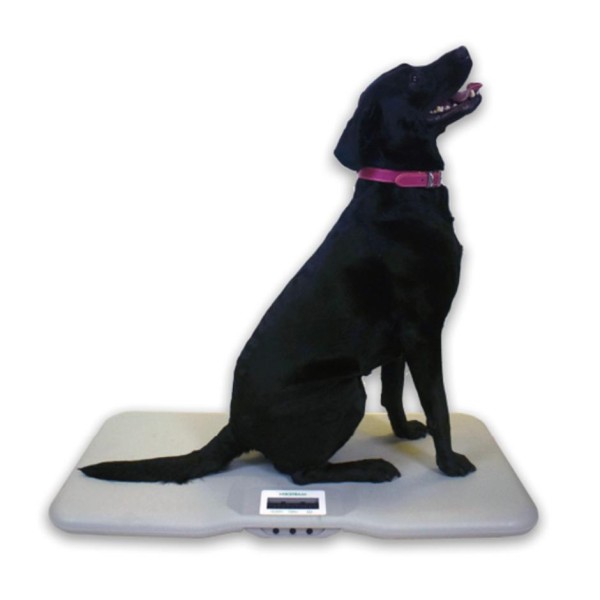 Marsden V-110 Veterinary Scales