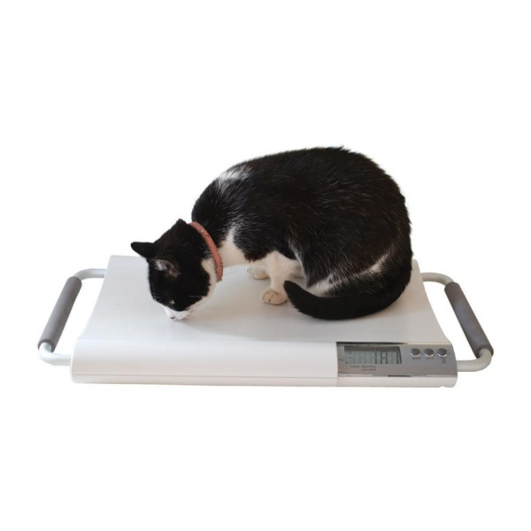 Marsden V-20 Premium Vet Scale  