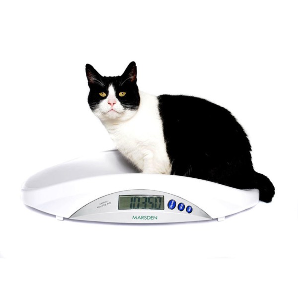 Marsden V-22 Veterinary Scales