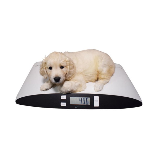 Marsden V-25 Small Pet Scale 25kg 