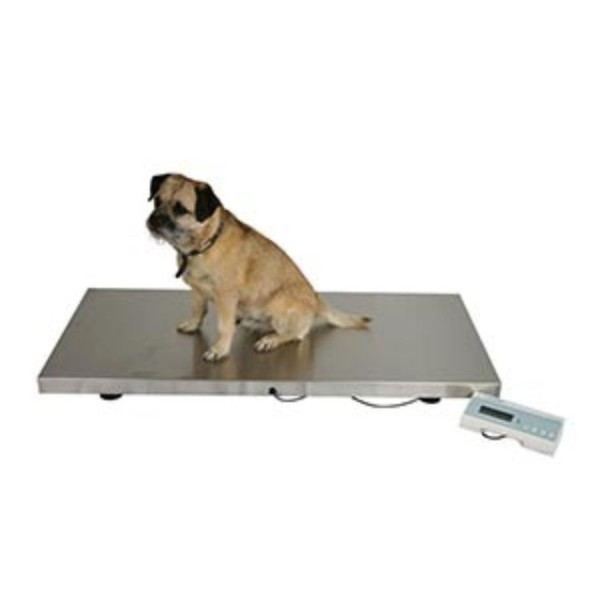 Marsden V-250 Large Vet Scale 