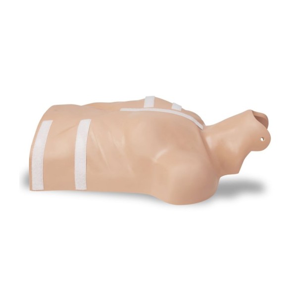 Zoll AED Plus CPR-D Demo Manikin (8000-0835-01)